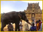 Tanjore Temple